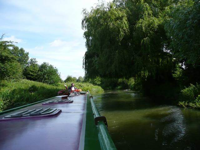 PJ08-061