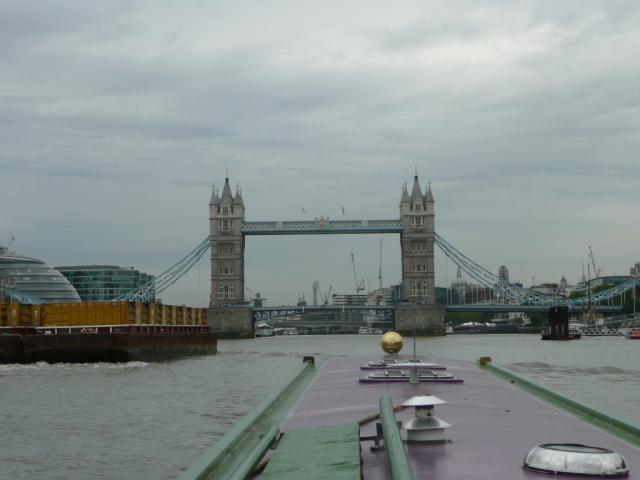 PJ08-073