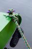 ROZ-0901-07