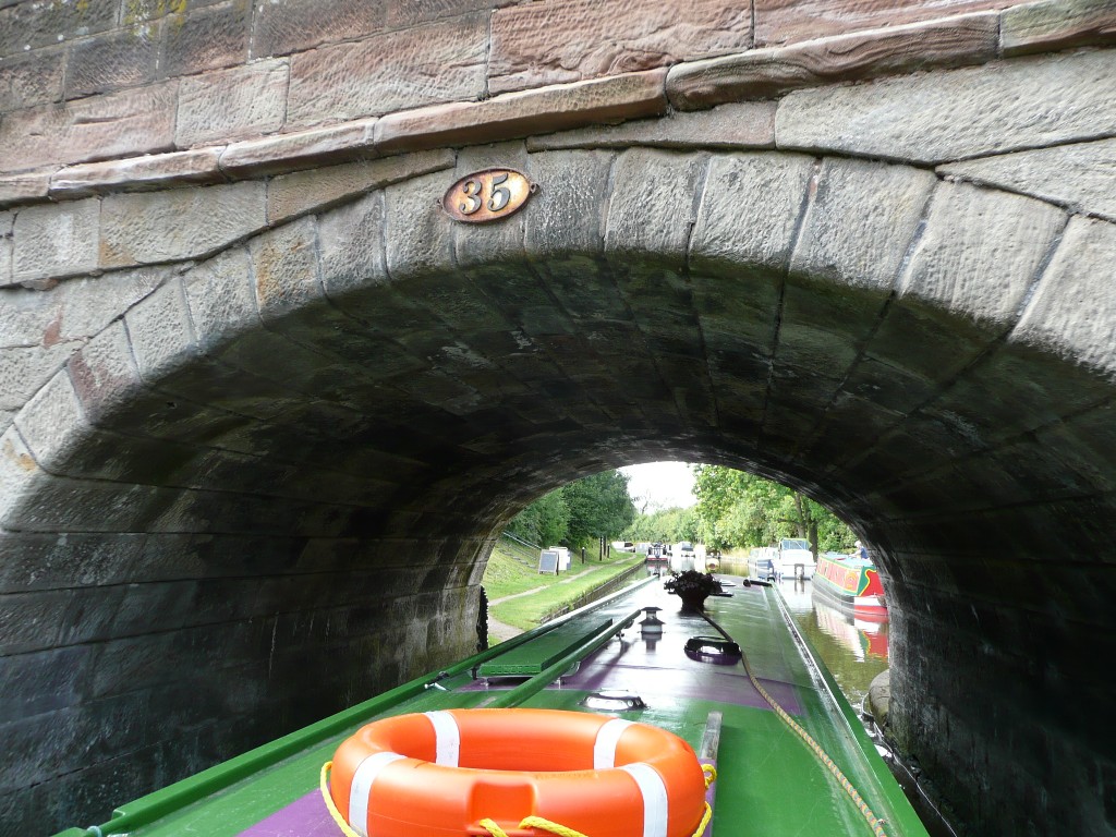 PJ08-146